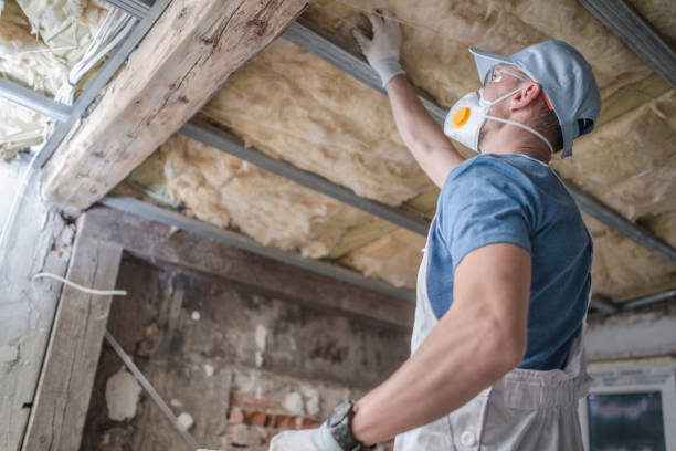 Best Insulation Removal  in Moville, IA