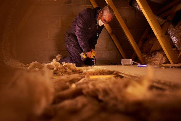 Best Professional Insulation Contractor  in Moville, IA